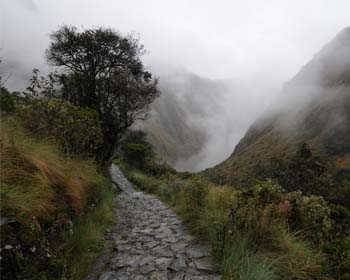 Cammino Inca, percorso verso la città Inca di Machu Picchu